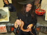 The corn snake was a big hit