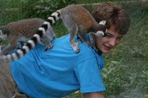 "Do we understand one another?"